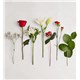 191113_Stems