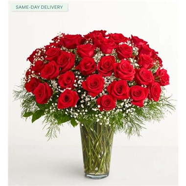 Rose Elegance&trade; Long Stem Red Roses