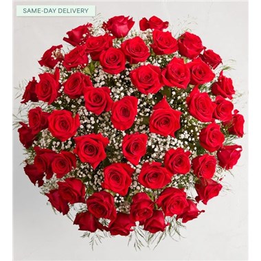 Ultimate Elegance&trade; Long Stem Red Roses