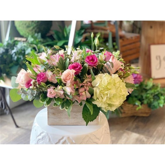 Graceful_Blooms