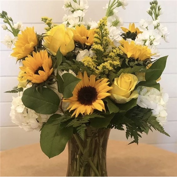 Sunflower_Surprise