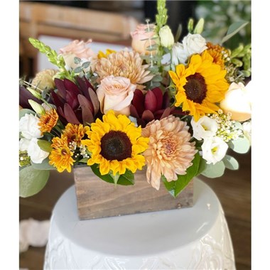 Dreamy_Sunflowers