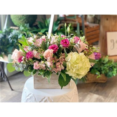 Graceful_Blooms