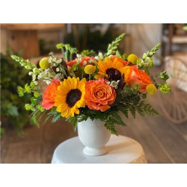 Sunflower_Wishes