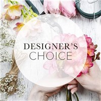 Designers_Choice
