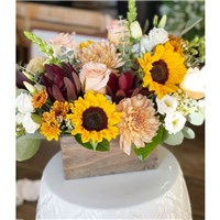 Dreamy_Sunflowers