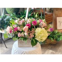 Graceful_Blooms